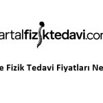 Pendik Fizik Tedavi Ücretleri